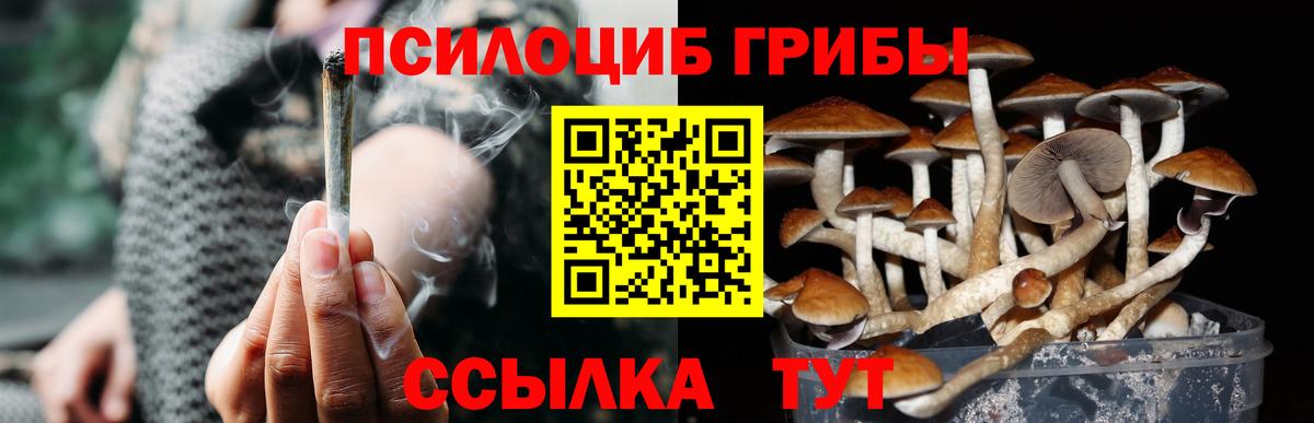Абакан  Галлюциногенные грибы мухоморы  где продают   Вход с VPN 